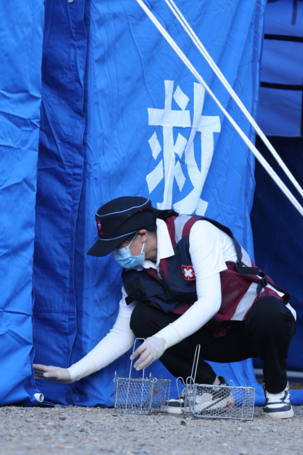 QQ_1749214214734 QQ_1749214214734