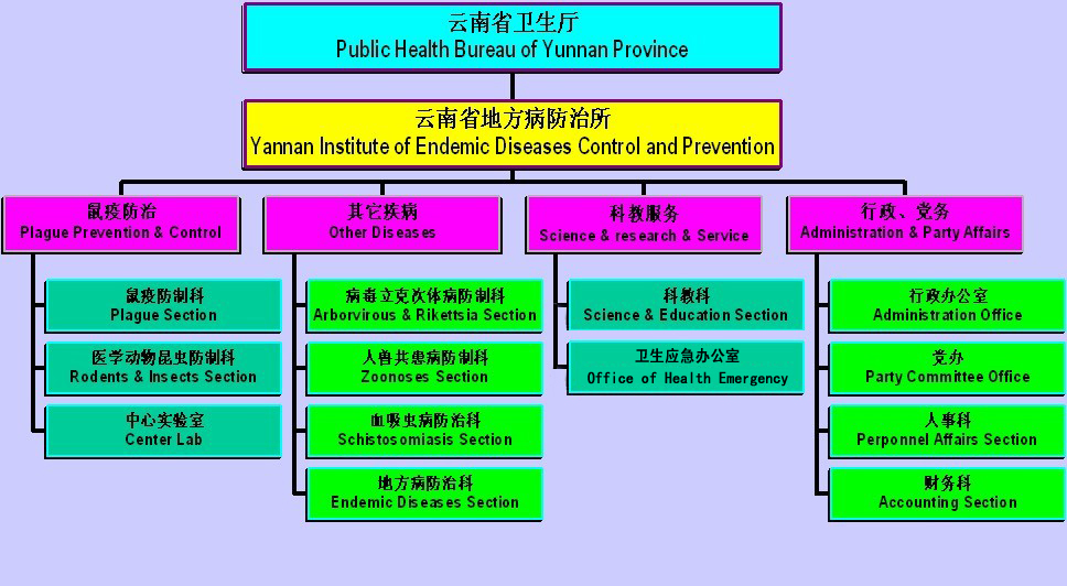 组织架构示意图