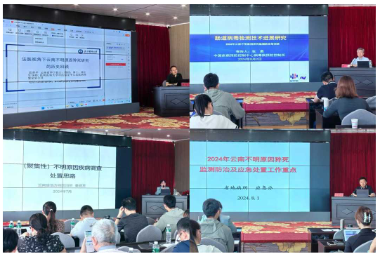 QQ图片20240805140345 QQ图片20240805140345
