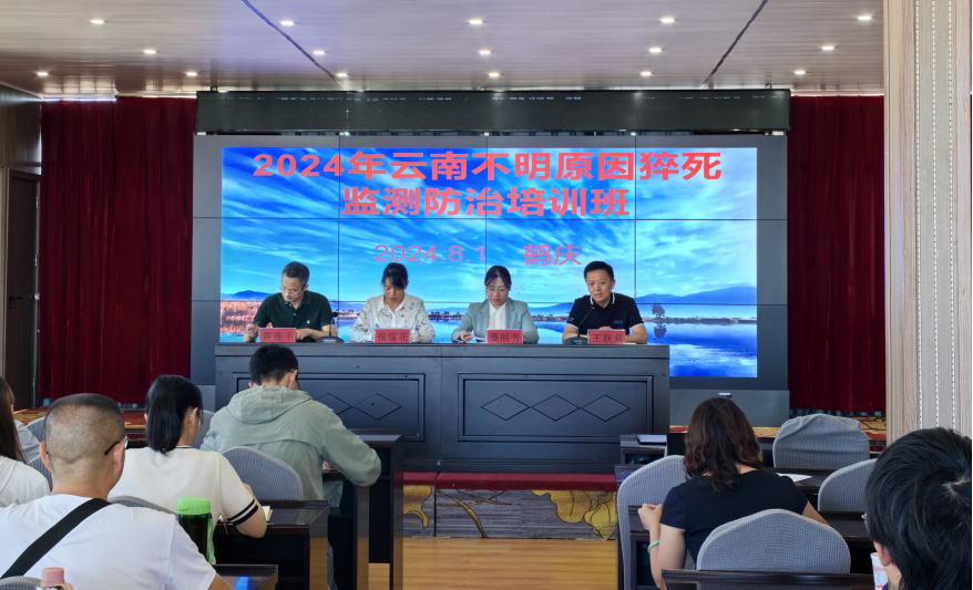 QQ图片20240805140446 QQ图片20240805140446